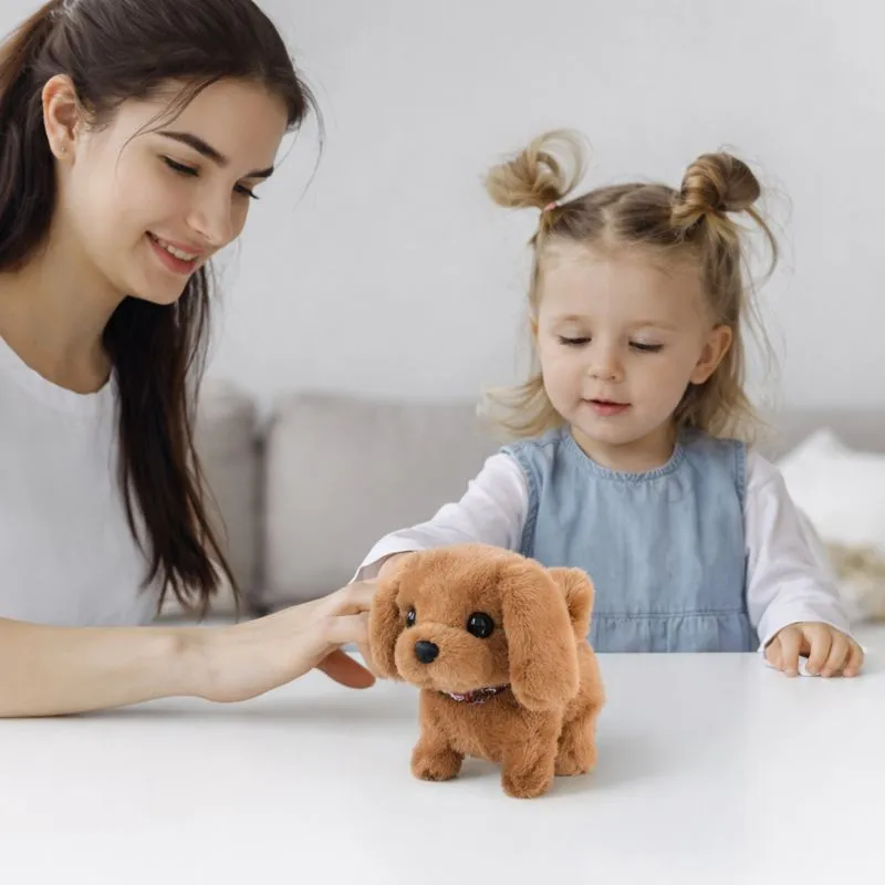 Froplay ZoomerPup reviews Sarah M.