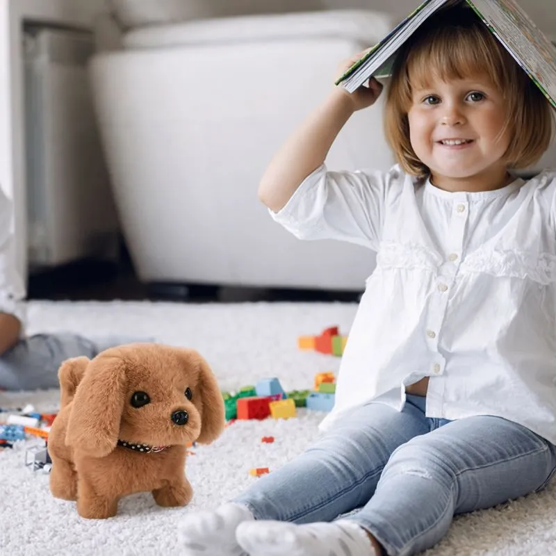 Froplay ZoomerPup reviews Harper D.